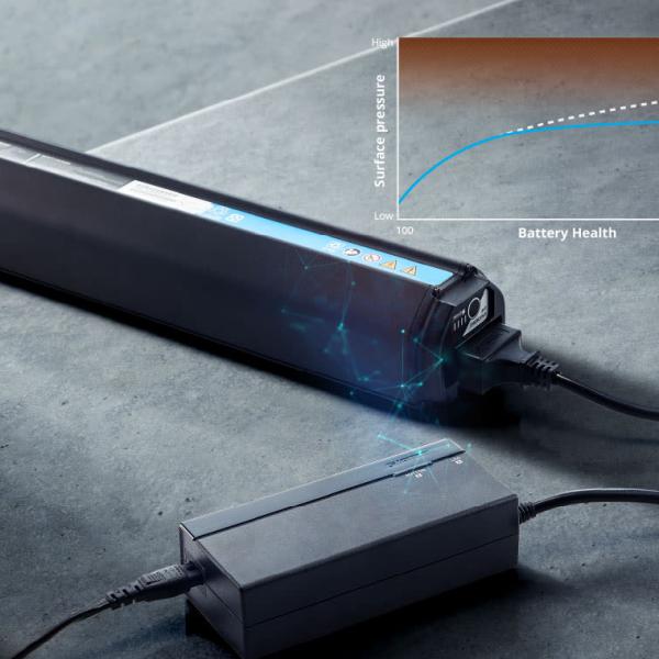 Giant ontwikkelt een eigen accu