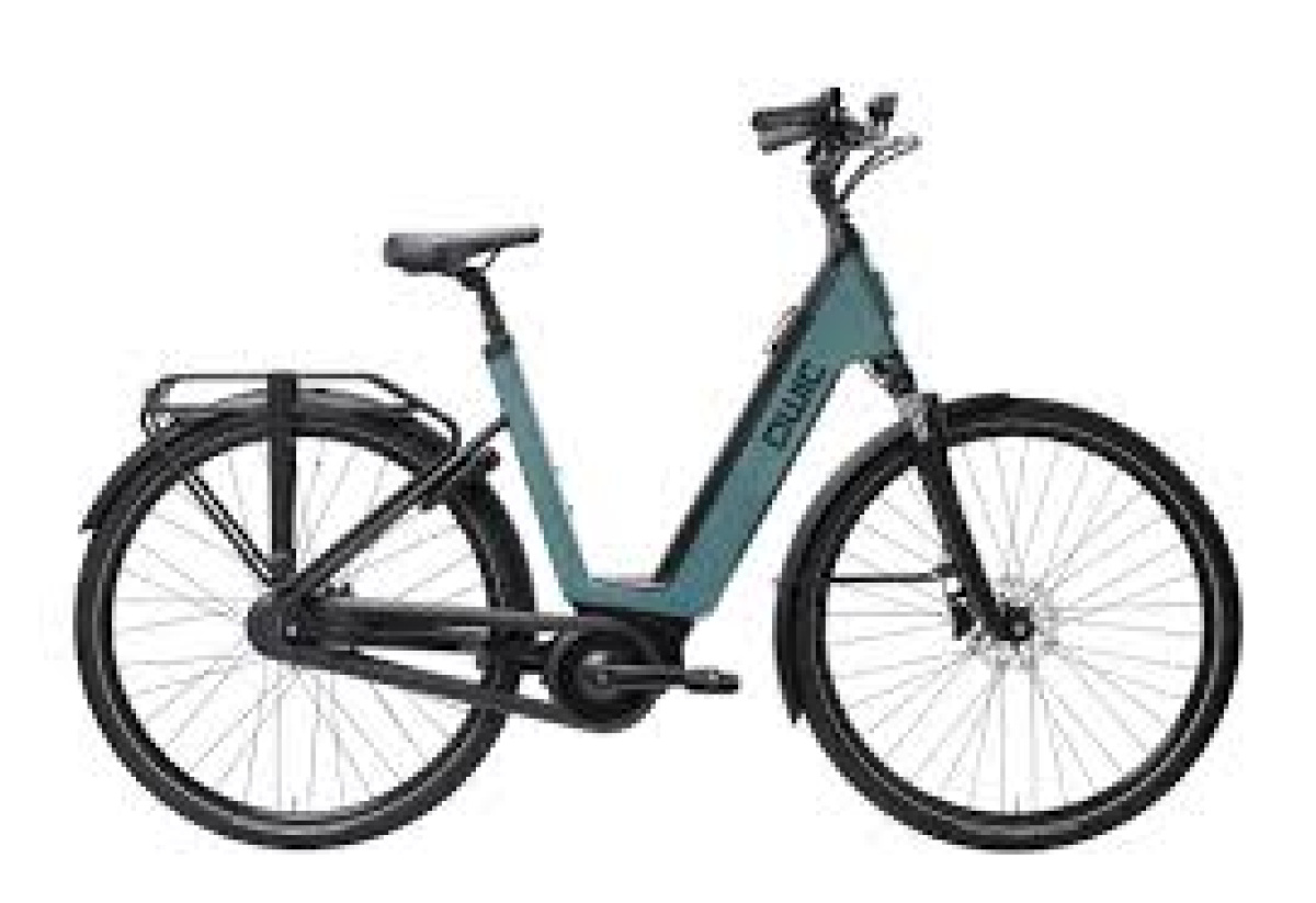 QWIC Mira Daily Lageinstap Sage Green 54cm L 2022