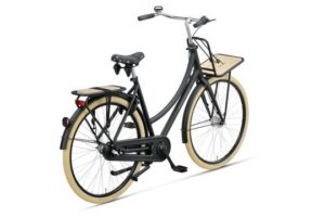 Batavus Packd-3 2026