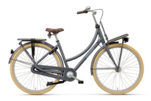 Batavus Packd-3