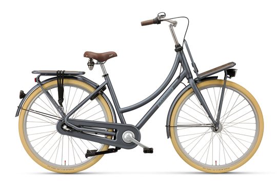 Batavus Packd-3