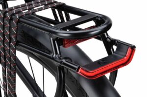 Batavus Senz Exclusive