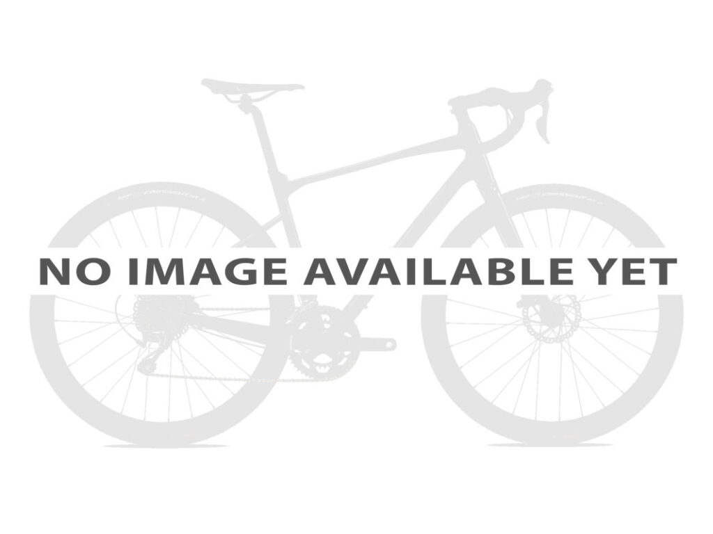 Giant AnyTour E+ 2 LST