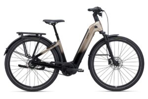 Giant AnyTour E+
