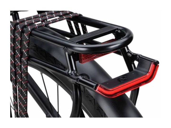 Batavus Senz Exclusive