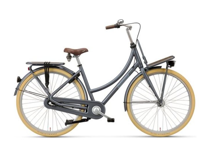 Batavus Packd-3