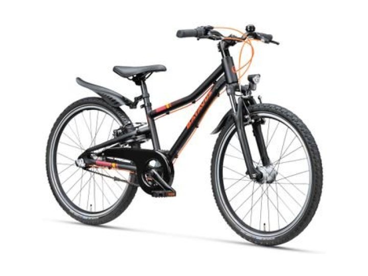 Batavus Booster 24 Inch