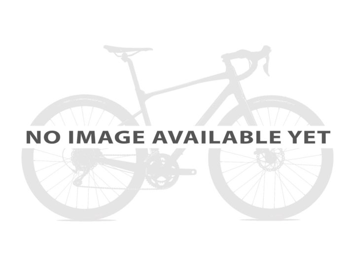 Giant AnyTour E+ 2 LST